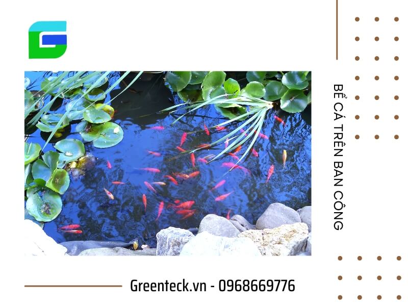 Dịch vụ thiết kế bể cá ban công chung cư tại Hà Nội: Tận Tâm – Uy Tín – Bảo Hành Dài Hạn