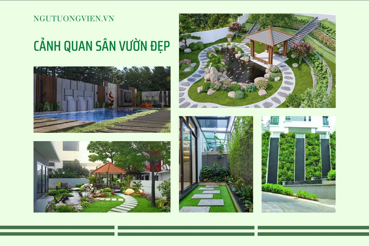 cảnh quan sân vườn đẹp