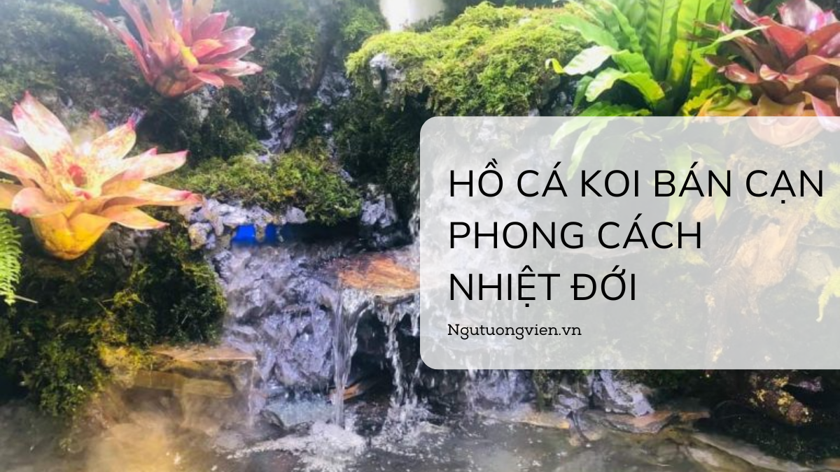 Ngutuongvien.vn Thi Công Hồ Cá Koi Kết Hợp Bán Cạn Phong Cách Nhiệt Đới (Tropical Paludarium)