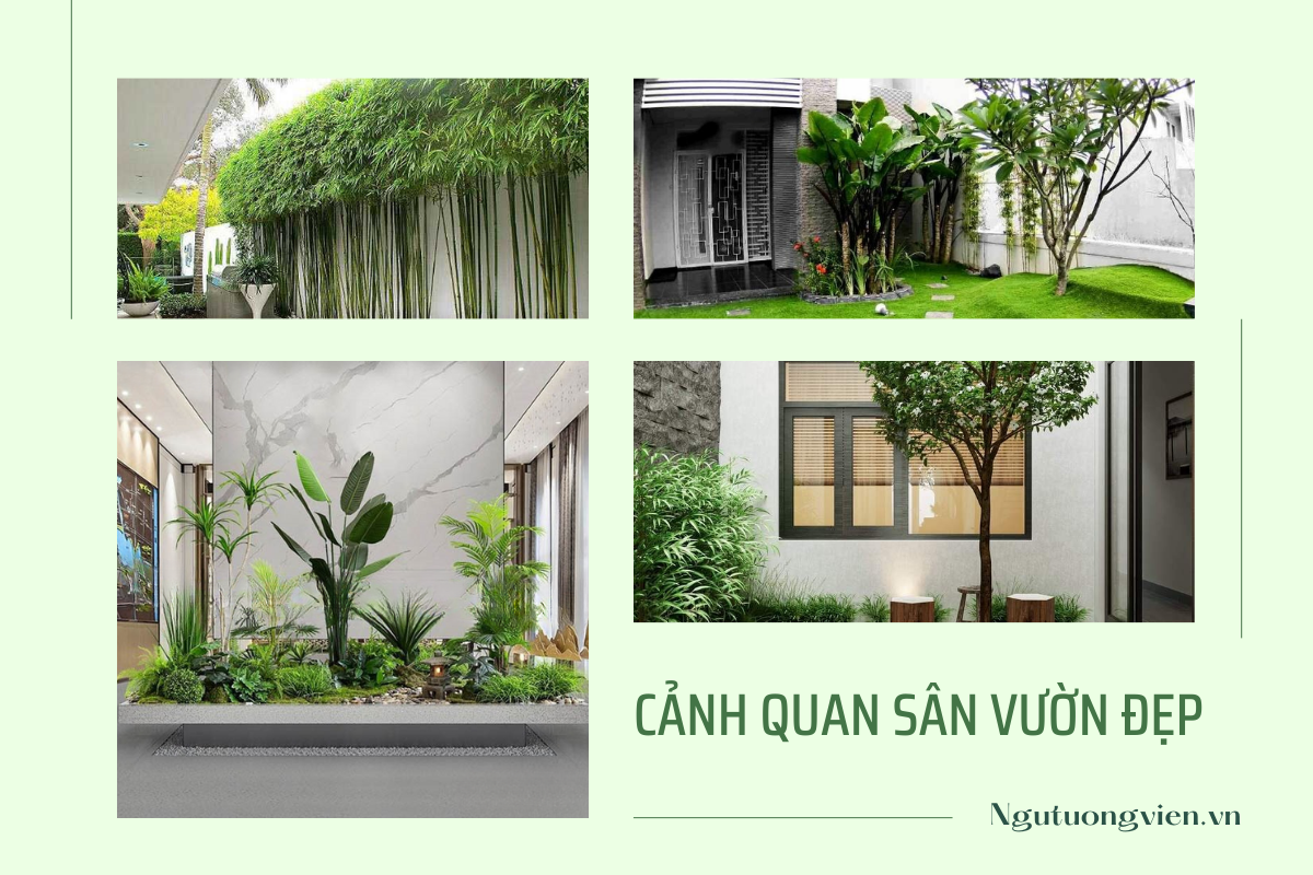 cảnh quan sân vườn đẹp