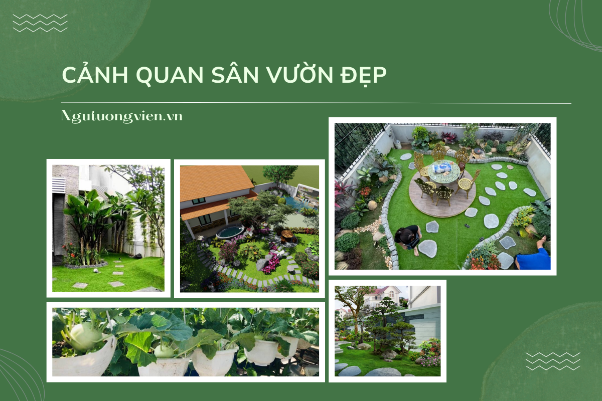 cảnh quan sân vườn đẹp