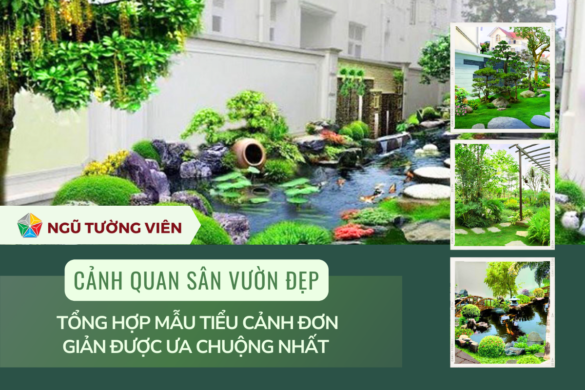 cảnh quan sân vườn đẹp