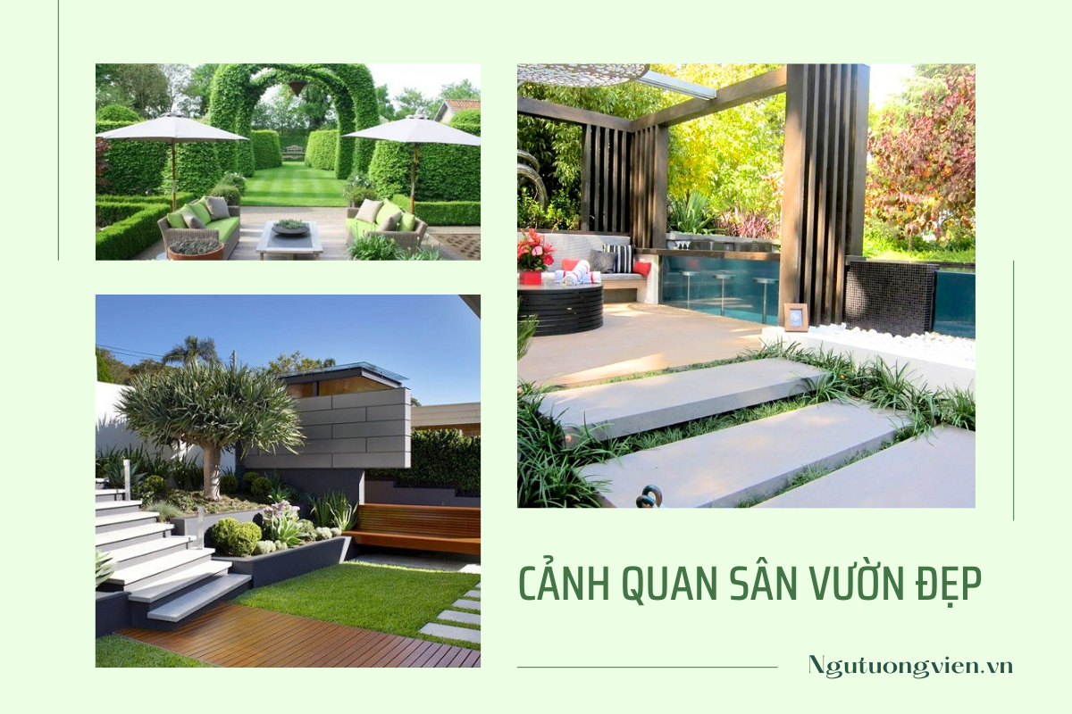 cảnh quan sân vườn đẹp