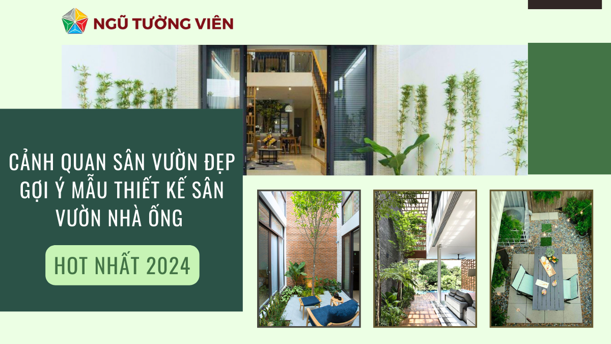 Cảnh quan sân vườn đẹp: Gợi ý mẫu thiết kế sân vườn nhà ống 2024