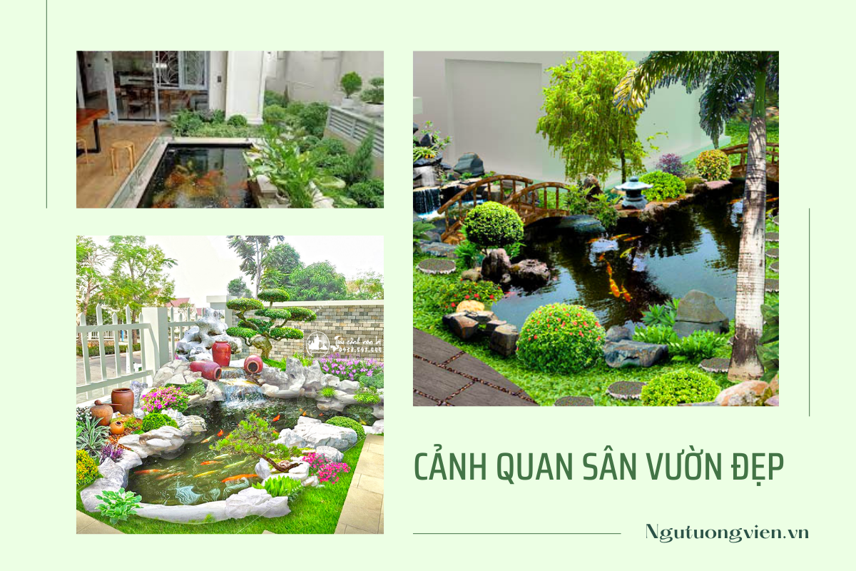 cảnh quan sân vườn đẹp