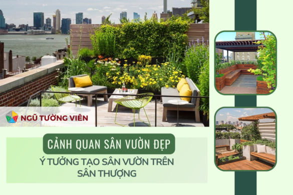 cảnh quan sân vườn đẹp