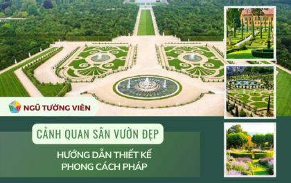 cảnh quan sân vườn đẹp