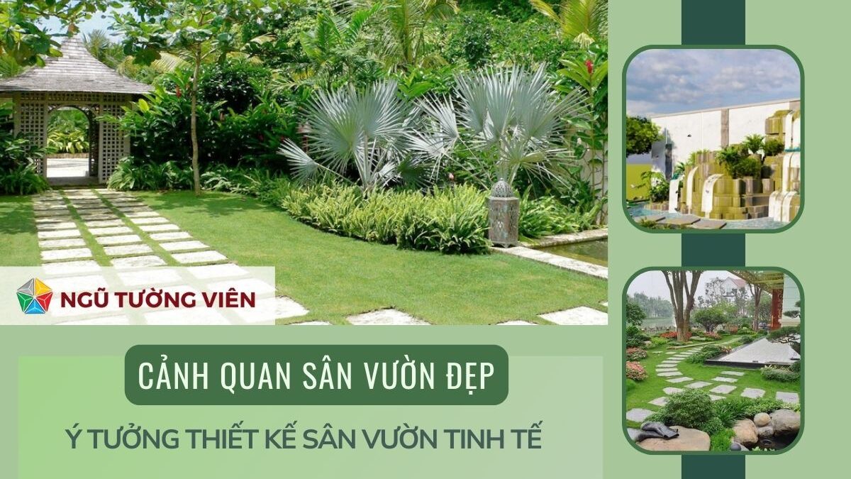 Cảnh quan sân vườn đẹp: Ý tưởng thiết kế sân vườn tinh tế