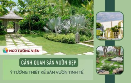 Cảnh quan sân vườn đẹp: Ý tưởng thiết kế sân vườn tinh tế