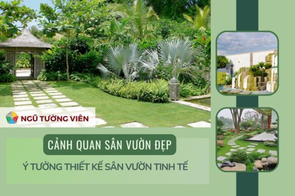 Cảnh quan sân vườn đẹp: Ý tưởng thiết kế sân vườn tinh tế