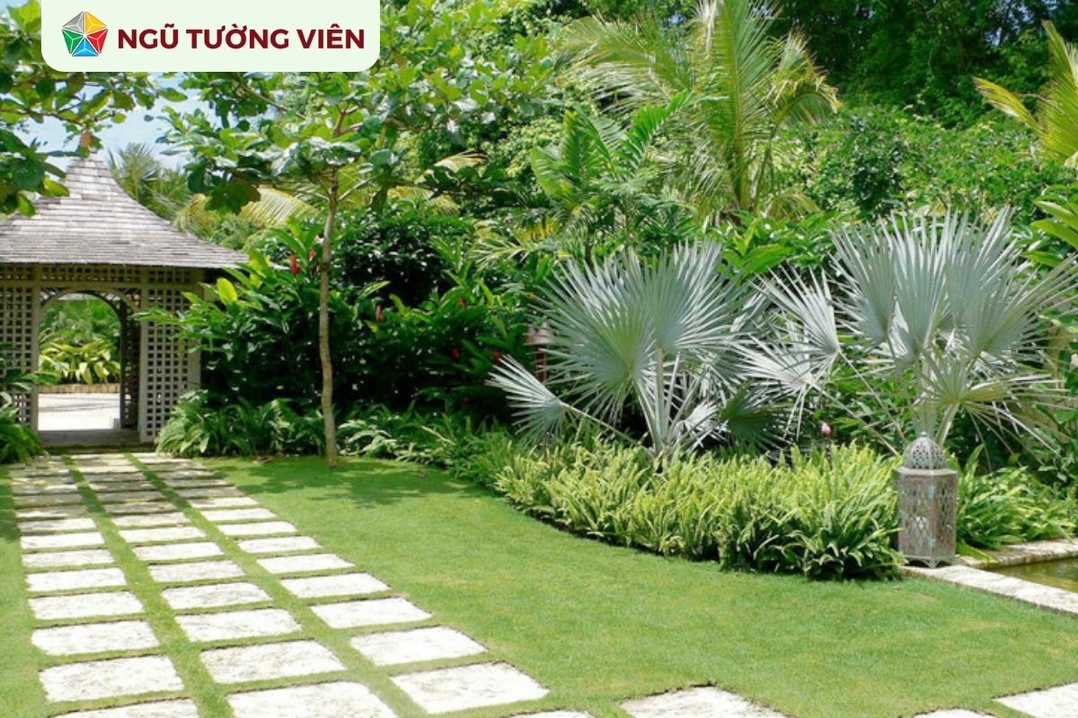 Cảnh quan sân vườn đẹp: Ý tưởng thiết kế sân vườn tinh tế