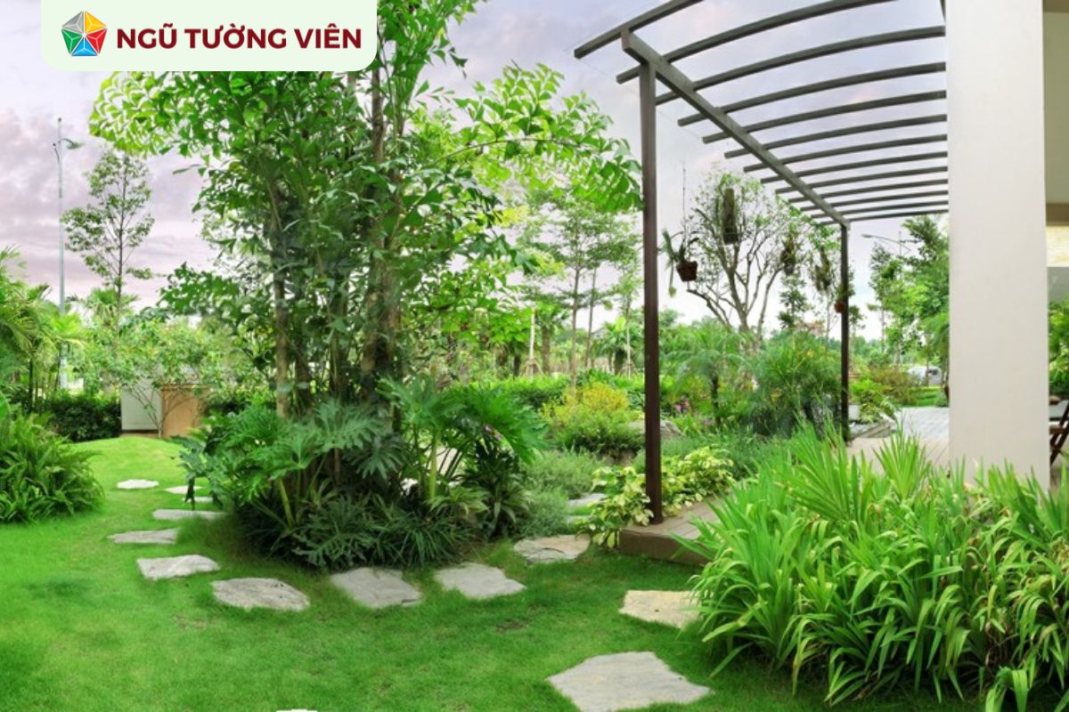 Cảnh quan sân vườn đẹp: Ý tưởng thiết kế sân vườn tinh tế