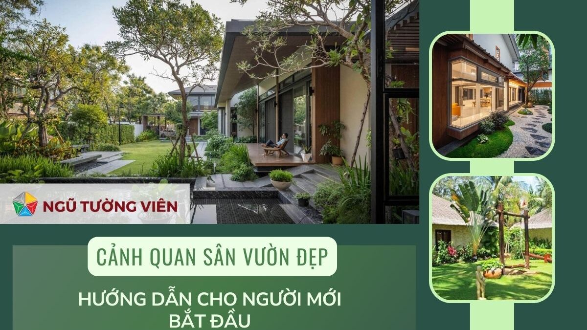 Cảnh quan sân vườn đẹp: Hướng dẫn cho người mới bắt đầu