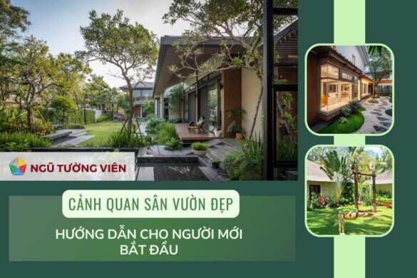 Cảnh quan sân vườn đẹp: Hướng dẫn cho người mới bắt đầu