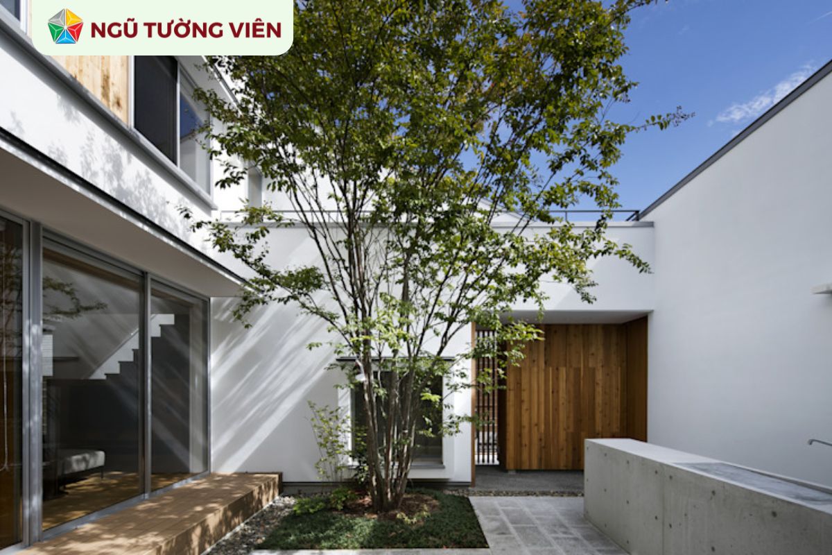 Cảnh quan sân vườn đẹp: Thiết kế theo kiến trúc tối giản