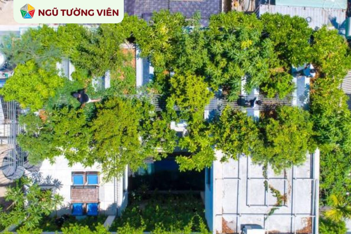 Cảnh quan sân vườn đẹp: Thiết kế vườn trên mái độc đáo và đẹp