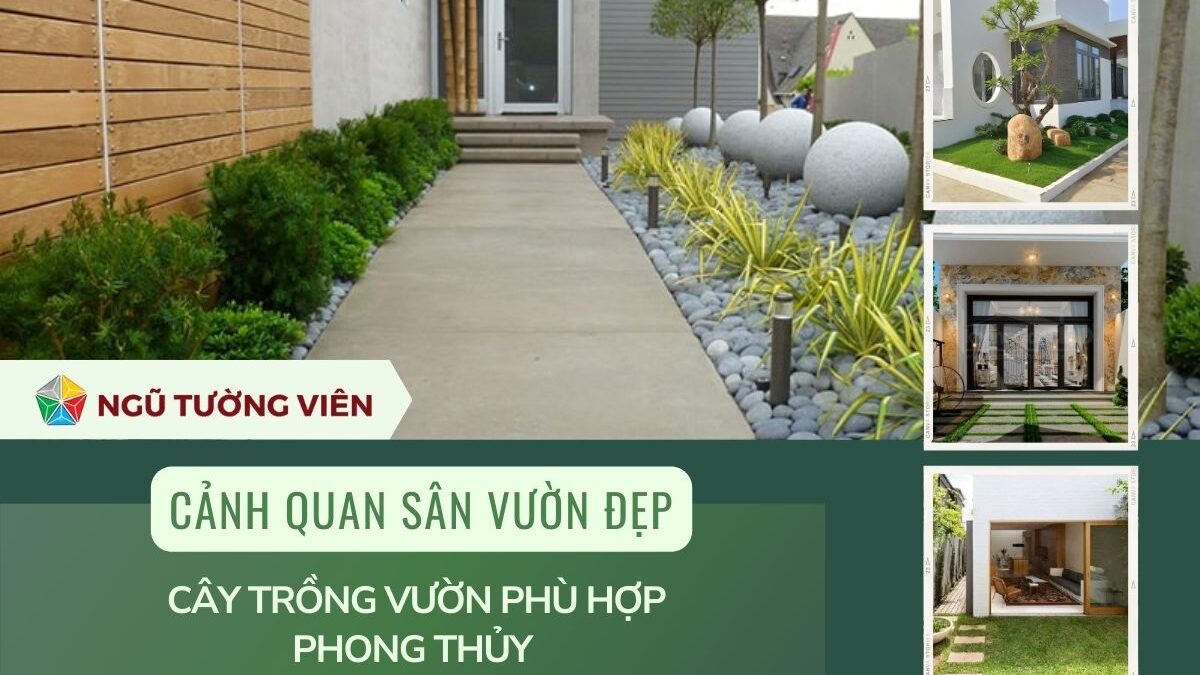 Cảnh quan sân vườn đẹp: Cây trồng vườn phù hợp phong thủy