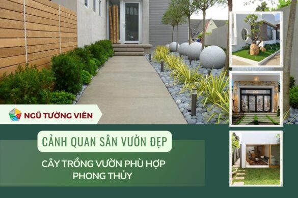 Cảnh quan sân vườn đẹp: Cây trồng vườn phù hợp phong thủy