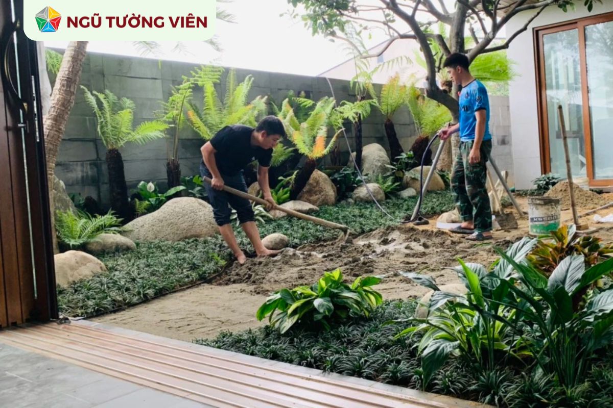 Cảnh quan sân vườn đẹp: Cây trồng vườn phù hợp phong thủy Cảnh quan sân vườn đẹp: Cây trồng vườn phù hợp phong thủy