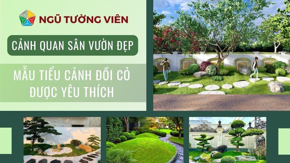 Cảnh quan sân vườn đẹp: Mẫu tiểu cảnh đồi cỏ được yêu thích