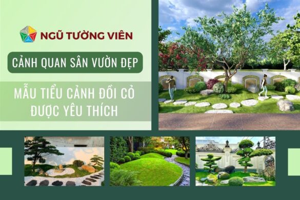 Cảnh quan sân vườn đẹp: Mẫu tiểu cảnh đồi cỏ được yêu thích