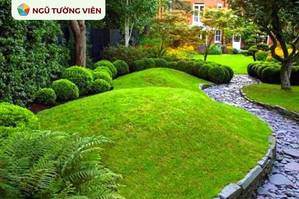 Cảnh quan sân vườn đẹp: Mẫu tiểu cảnh đồi cỏ được yêu thích Cảnh quan sân vườn đẹp: Mẫu tiểu cảnh đồi cỏ được yêu thích