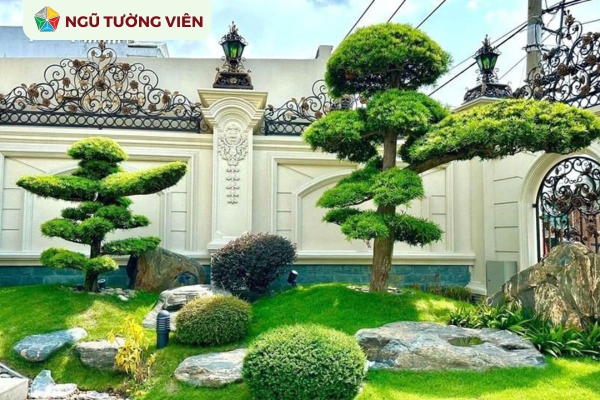 Cảnh quan sân vườn đẹp: Mẫu tiểu cảnh đồi cỏ được yêu thích Cảnh quan sân vườn đẹp: Mẫu tiểu cảnh đồi cỏ được yêu thích