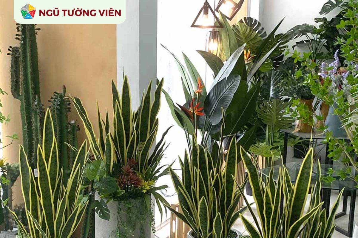 Cảnh quan sân vườn đẹp: Mẫu tiểu cảnh phòng khách ấn tượng Cảnh quan sân vườn đẹp: Mẫu tiểu cảnh phòng khách ấn tượng