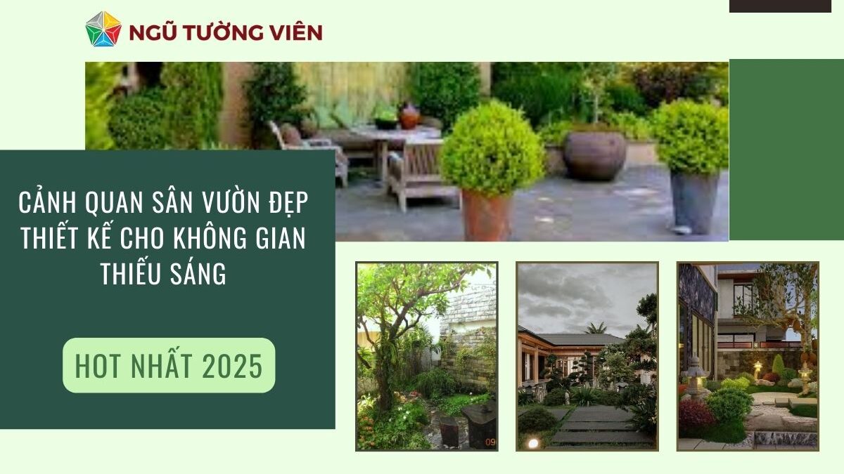 Cảnh quan sân vườn đẹp: Thiết kế cho không gian thiếu sáng