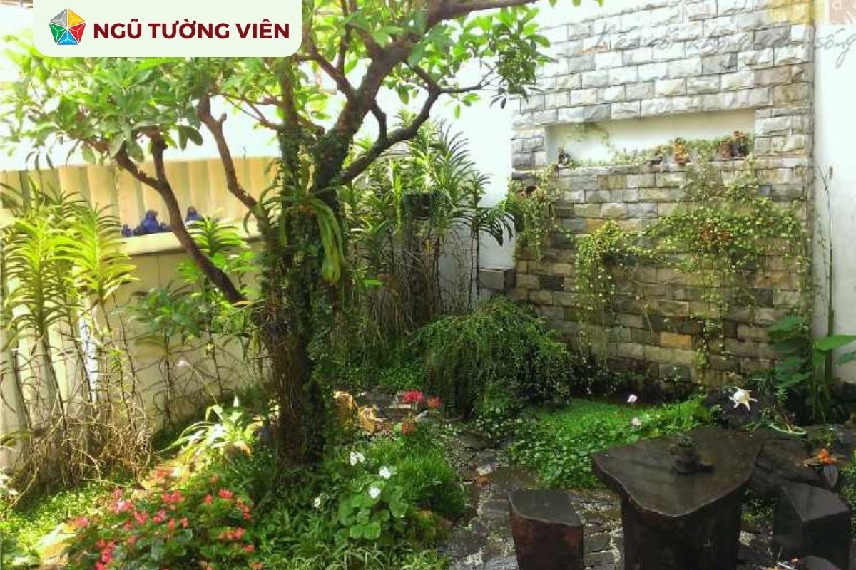 Cảnh quan sân vườn đẹp: Thiết kế cho không gian thiếu sáng