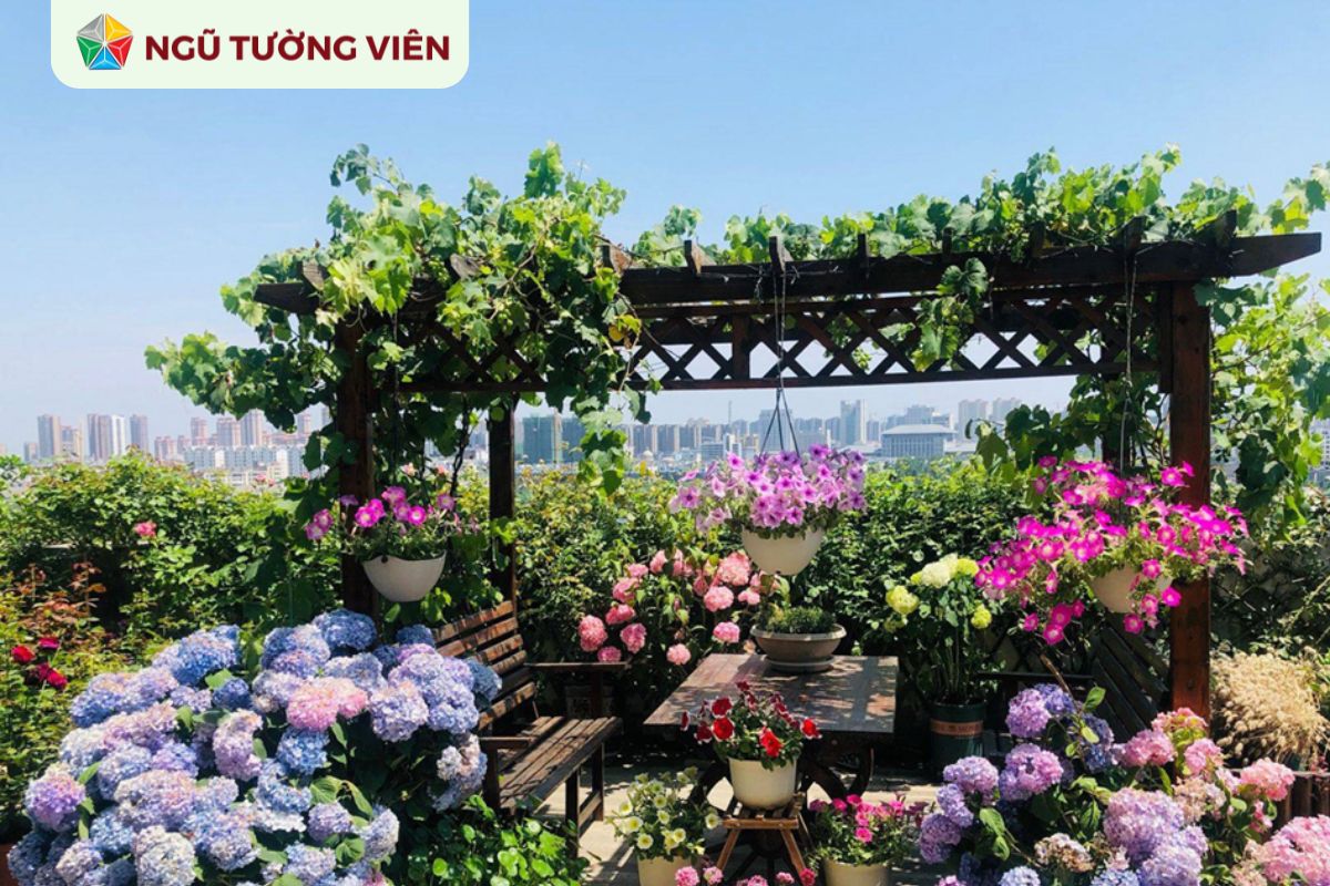 Cảnh quan sân vườn đẹp: Thiết kế không gian sân thượng đẹp