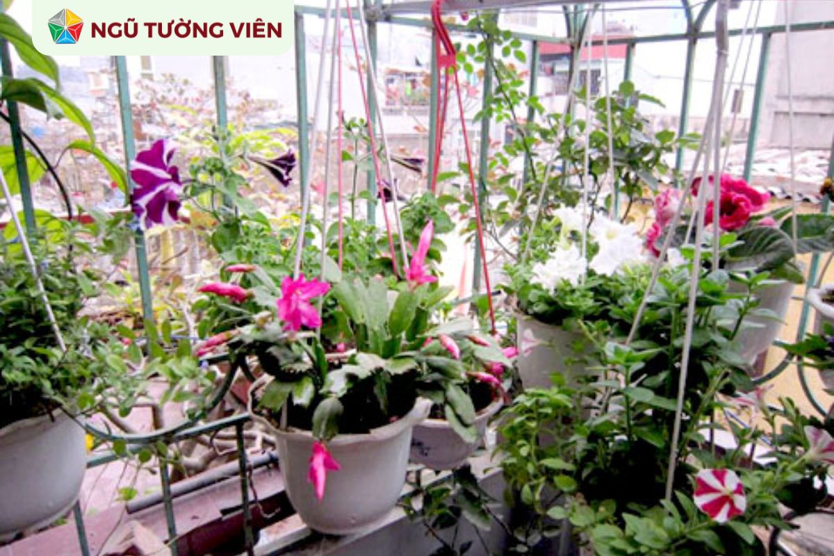 Cảnh quan sân vườn đẹp: Thiết kế không gian sân thượng đẹp