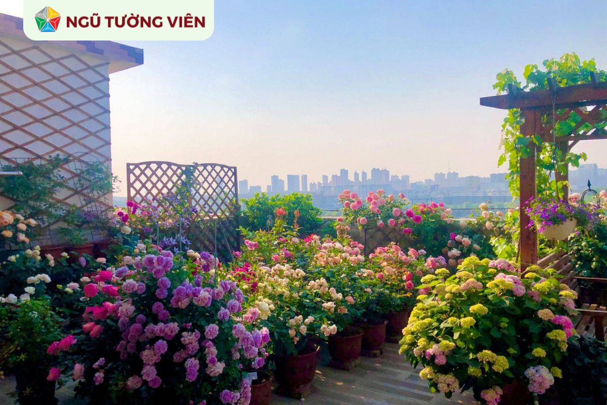 Cảnh quan sân vườn đẹp: Thiết kế không gian sân thượng đẹp