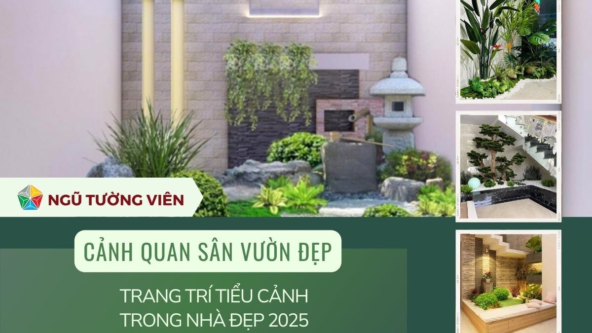 Cảnh quan sân vườn đẹp: Trang trí tiểu cảnh trong nhà đẹp 2025