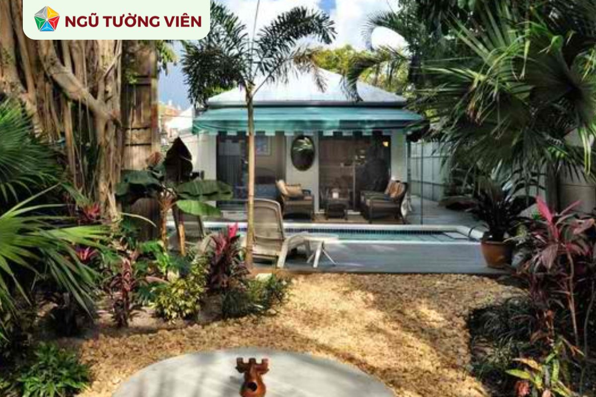 Cảnh quan sân vườn đẹp: Thiết kế vườn nhiệt đới trên sân thượng