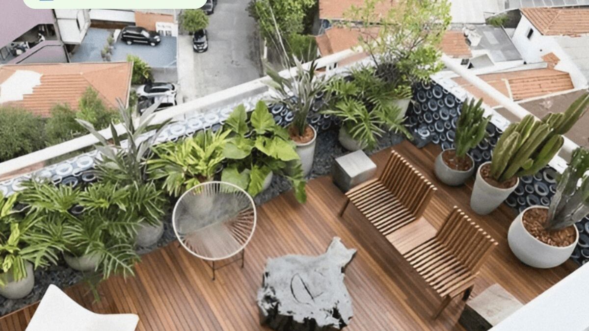 Tự Thiết Kế Khu Vườn Trên Ban Công: 4 Bước Đơn Giản Và Các Loại Cây Phù Hợp Theo Hướng (2025)