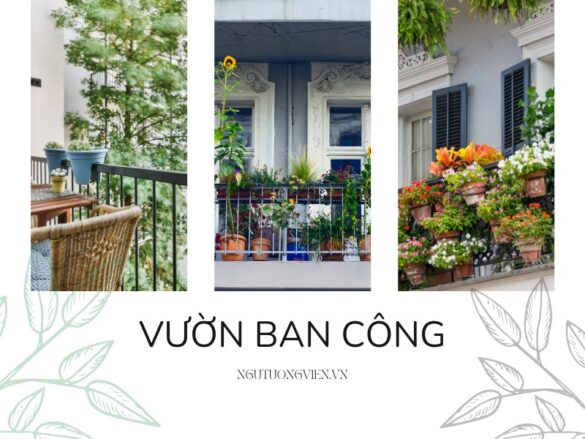 Tự Thiết Kế Khu Vườn Trên Ban Công: 4 Bước Đơn Giản Và Các Loại Cây Phù Hợp Theo Hướng