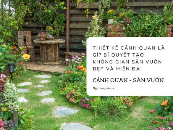 Thiết Kế Cảnh Quan Là Gì? Bí Quyết Tạo Không Gian Sân Vườn Đẹp Và Hiện Đại