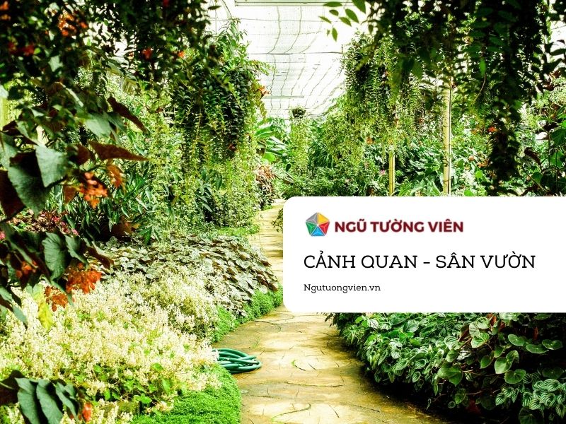 5 Nguyên Tắc Thiết Kế Cảnh Quan Sân Vườn Cần Ghi Nhớ
