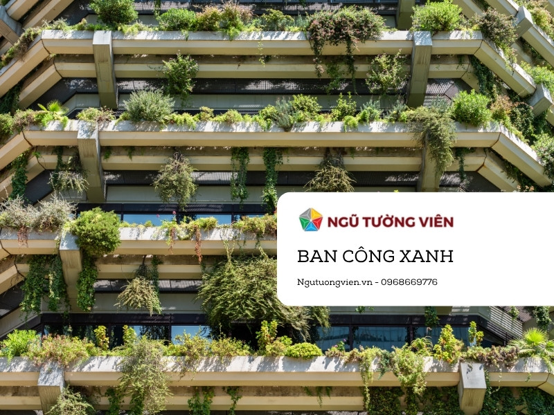Ngũ Tường Viên - Dịch vụ chăm sóc ban công xanh tại khu đô thị Eco Park