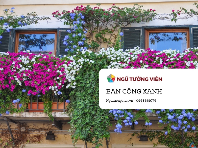 Ngũ Tường Viên - Dịch vụ chăm sóc ban công xanh tại khu đô thị Eco Park