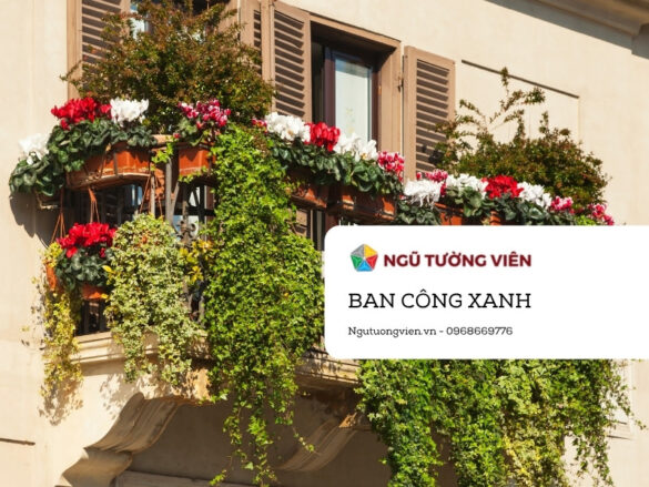 Ngũ Tường Viên – Giải pháp chăm sóc ban công xanh tại khu đô thị Eco Park