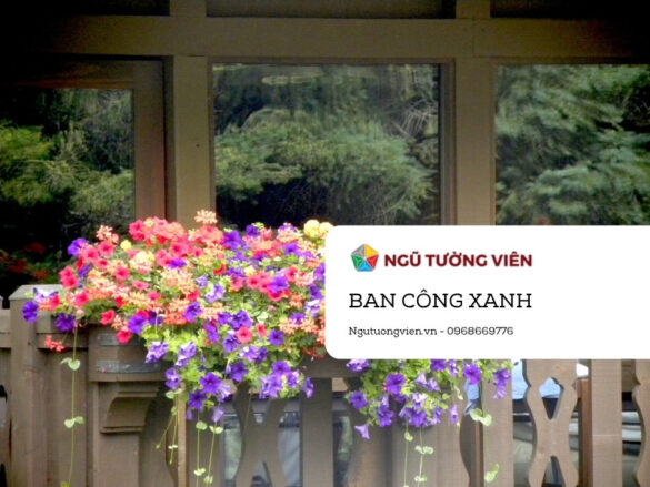 Ngũ Tường Viên – Dịch vụ chăm sóc ban công xanh và hồ cá tại Eco Park (2025)