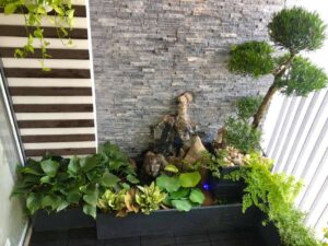 Tiểu Cảnh Ban Công Chung Cư – Cầu Nối Xanh Giữa Gia Đình Và Thiên Nhiên