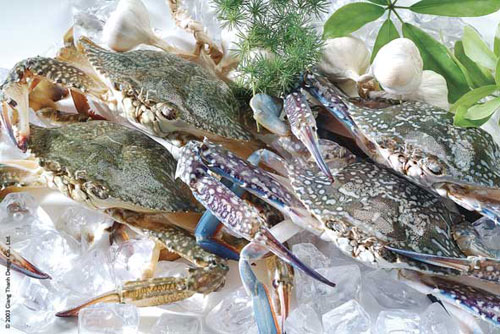 15 món hải sản ngon