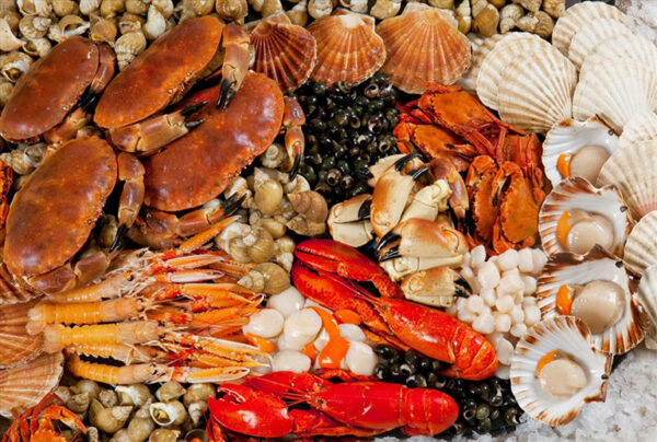 Thực phẩm từ hải sản