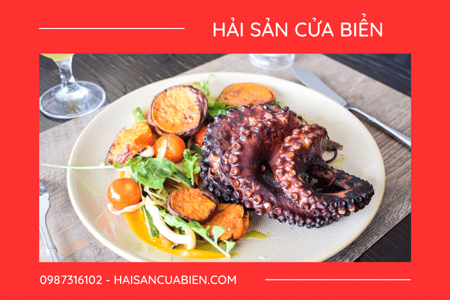 Hải sản là gì? Công dụng và tên các loại hải sản phổ biến ở Việt Nam