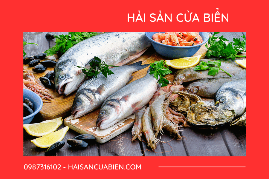 Hải sản là gì? Công dụng và tên các loại hải sản phổ biến ở Việt Nam