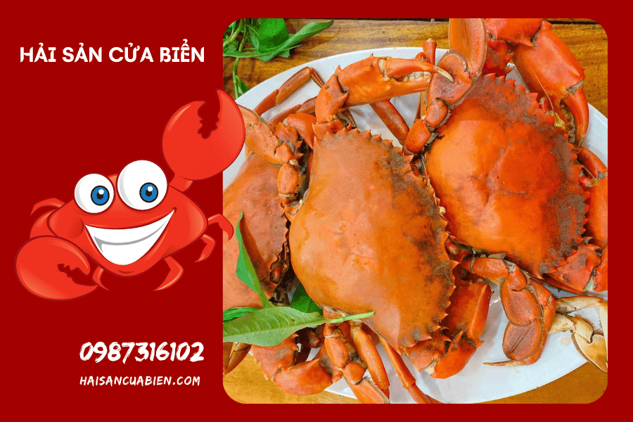 Hải Sản Cửa Biển Nam Định- Địa điểm tổ chức sinh nhật, liên hoan, hội họp lý tưởng
