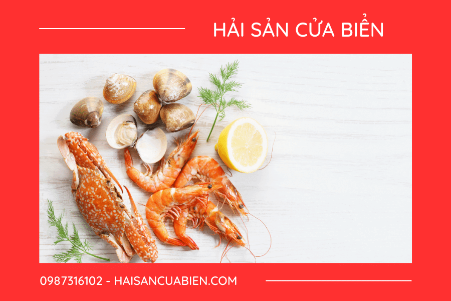 Top 5 cửa hàng bán hải sản tươi ngon nổi tiếng nhất Nam Định